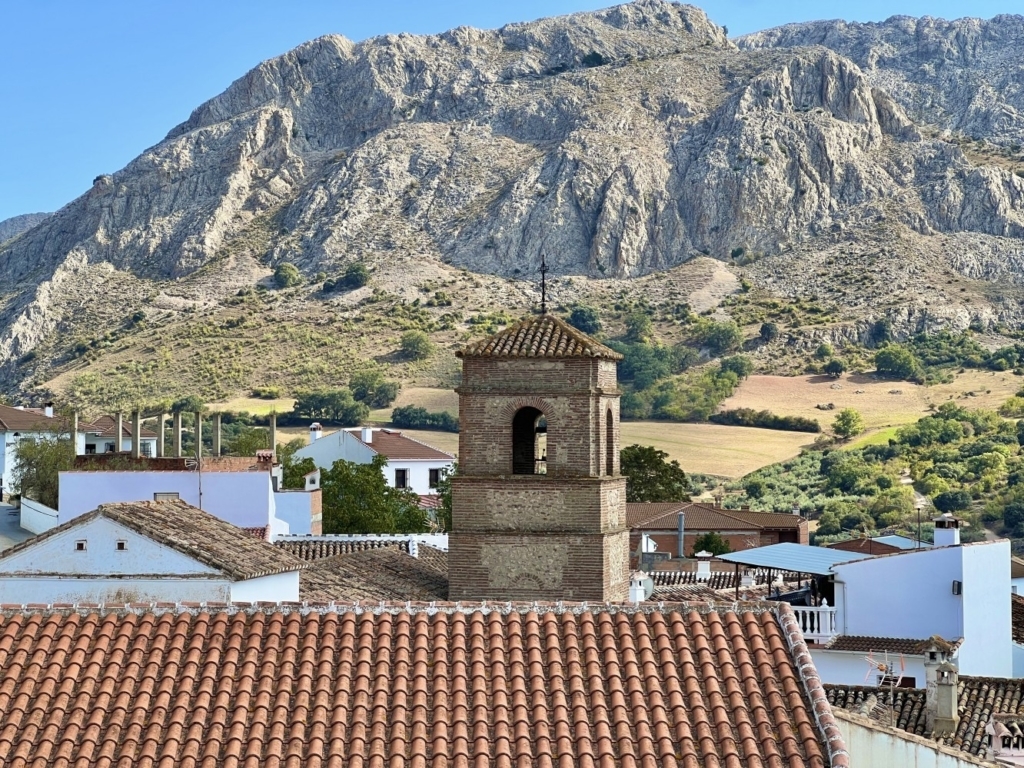 Inmobiliaria en Torre del Mar: Venta y Alquiler | Inmobiliaria Moya